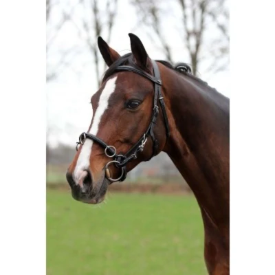 Afbeelding van Horka Kaptoom Zwart/zilver Pony