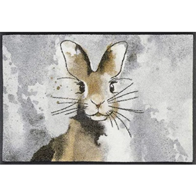 Afbeelding van Hopps Kleen Tex 50 x 75 cm