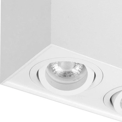 Afbeelding van HighLight plafondlamp Maxi Rebel 2L stelbaar rechthoek wit