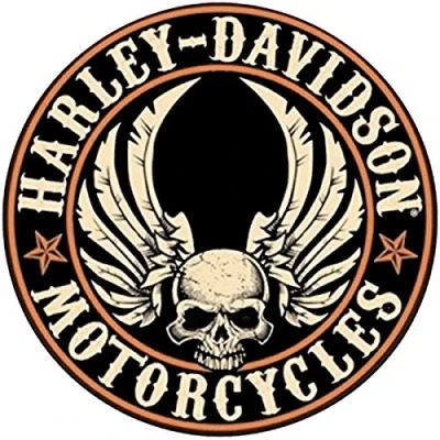 Afbeelding van Retro reflecterende stickers voor Harley Davidson Central Skull Helm