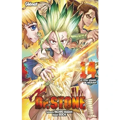 Afbeelding van DR STONE T14