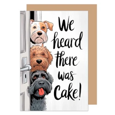 Afbeelding van Edition Seidel Hoogwaardige verjaardagskaart met envelop, wenskaart grappige spreuk, voor mannen, vrouwen, kinderen, hond (G3636 SW024)