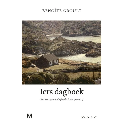Afbeelding van Iers dagboek