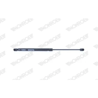 Afbeelding van Monroe Gasveer ML6100