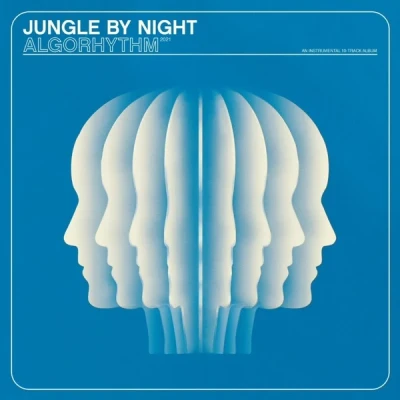 Afbeelding van Jungle By Night Algorhythm (LP)