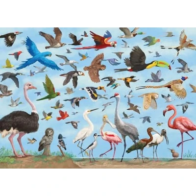 Afbeelding van Peter Pauper Puzzel All the Birds (1000st)