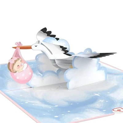 Afbeelding van papercrush® Pop up kaart voor geboorte van babymeisjes, 3D geboortekaart of geldcadeau, wenskaart de het meisje, handgemaakte cadeaukaart met ooievaar
