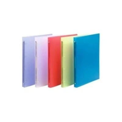 Afbeelding van Exacompta 54169E 20x CLASS. PP A4 CHROMA
