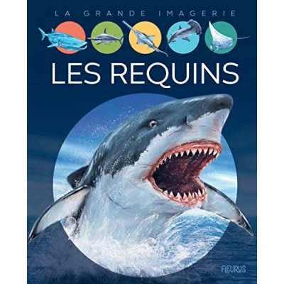 Afbeelding van Requins