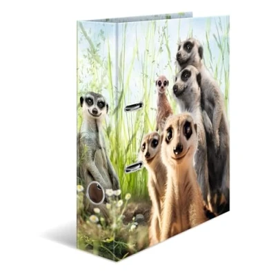 Afbeelding van HERMA 20048 Ordner A4 stokstaartjes dieren 7 cm breed karton met binnenprint voor school en kantoor ringband kinderen, jongens meisjes