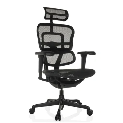 Afbeelding van ERGOHUMAN SLIM ULTRA GEN2 net Luxe directiestoel Zwart