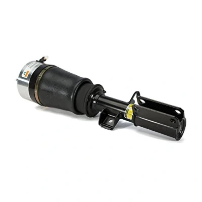 Afbeelding van Arnott AS 2765 Pneumatischeveerpoot Links voor BMW: X5