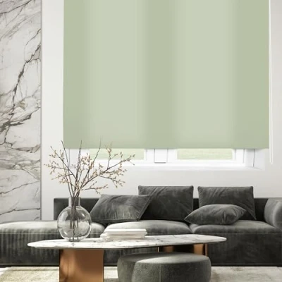 Afbeelding van Rolgordijndecor Ara Rolgordijn doorschijnend glad pastelgroen 80 x 175 cm (breedte hoogte) Stofmaat 77 170 Raamrolgordijn