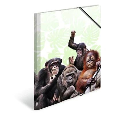 Afbeelding van HERMA Monkey gang Polypropyleen (PP) Meerkleurig A3