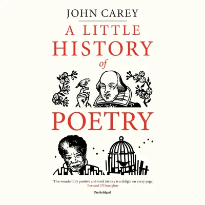 Afbeelding van A Little History of Poetry