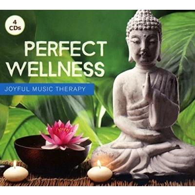 Afbeelding van Various Artists Perfect Wellness (CD)