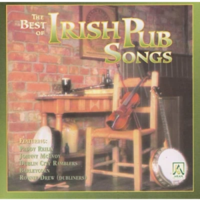 Afbeelding van Various Artists The Best Of Irish Pub Songs (CD)
