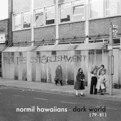 Afbeelding van Normil Hawaiians Dark World (CD)