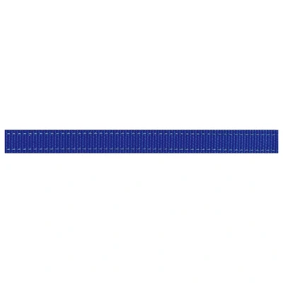 Afbeelding van Rogz Utility Lange Lijn Blauw Hondenriem 180x2.0 cm