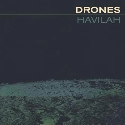 Afbeelding van The Drones Havilah (LP)