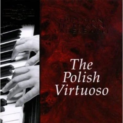 Afbeelding van Hofmann, Paderewski, Friedman The Polish Virtuoso (Friedman, Hofm (CD)