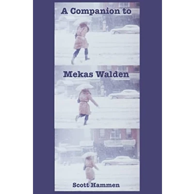 Afbeelding van A Companion to Mekas Walden: Guide Jonas Mekas&#039;s Diaries, Notes and Sketches