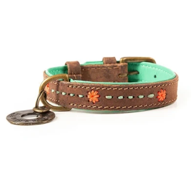 Afbeelding van Dwam Halsband Joplin Bruin&amp;Turquoise&amp;Oranje Hondenhalsband 29 35x2.0 cm