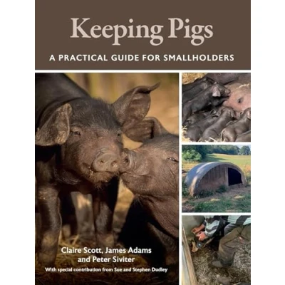 Afbeelding van Keeping Pigs