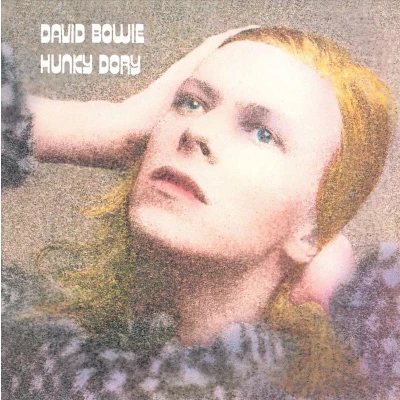 Afbeelding van Hunky Dory