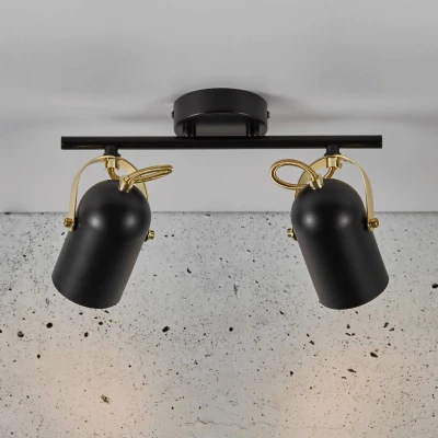 Afbeelding van Plafondspot Lotus, 2 lamps