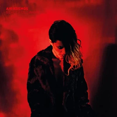 Afbeelding van Ah! Kosmos Beautiful Swamp (CD)