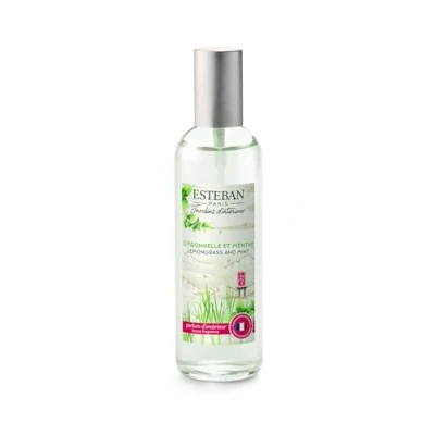 Afbeelding van Esteban Citroengras en Munt roomspray 100ml