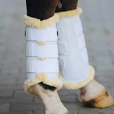 Image de Kavalkade Brushing Boots Show