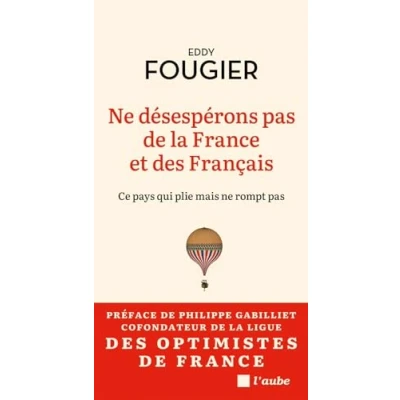 Afbeelding van Les raisons de ne pas desesperer portrait d&#039;une france