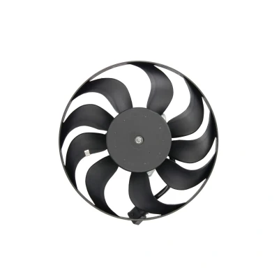 Afbeelding van THERMOTEC D8A013TT Radiator Ventilator voor voertuigen met/zonder airco 295 12 220 Zonder ventilatorraamwerk AUDI: A3 Hatchback, Sportback