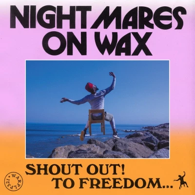Afbeelding van Nightmares On Wax Shout Out! To Freedom... (2 LPs)