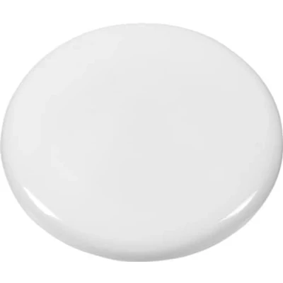 Afbeelding van Magneet Westcott wit pak � 10st. 40x8,5mm, 2500g