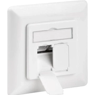 Afbeelding van Wandcontactdoos Cat 6a Inbouw en opbouw Wit Allteq
