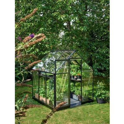 Afbeelding van Qube 66 zwart gecoat veiligheidsglas 3 mm Royal Well
