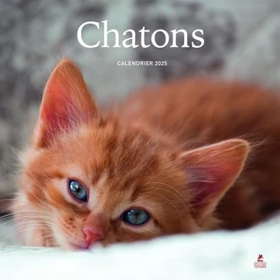 Afbeelding van CALENDRIER CHATONS 2025