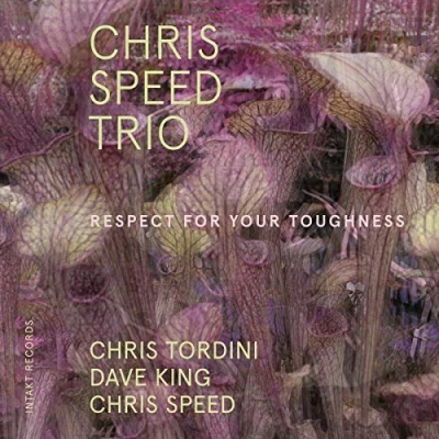 Afbeelding van Dave King, Chris Speed, Tordini Respect For Your Toughness (CD)