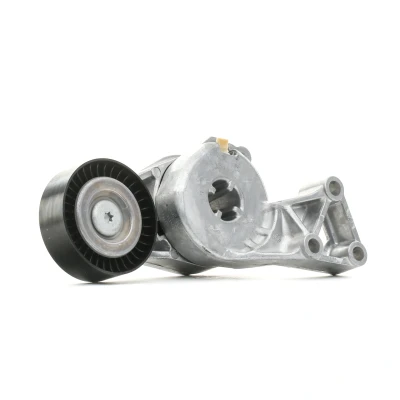 Afbeelding van Ina Spanner poly V riem 533 0076 30