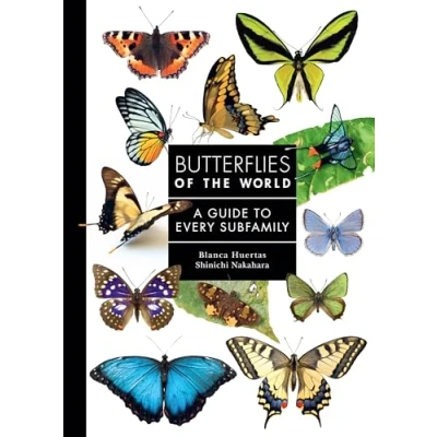Afbeelding van A Guide to Every Family Butterflies of the World