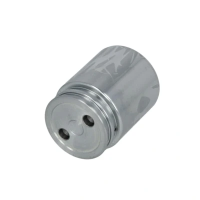 Afbeelding van AUTOFREN SEINSA D025251 Zuiger, remklauw 38 Achteras Ate FORD: FOCUS 3