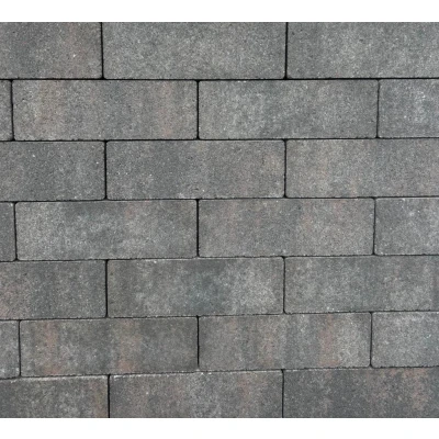 Afbeelding van MBI GeoKlinker Plus ZF Venice 20x5x6 cm Klinker