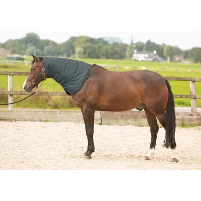 Afbeelding van Harry&#039;s Horse Halsstuk Thor 200 Ebony XL