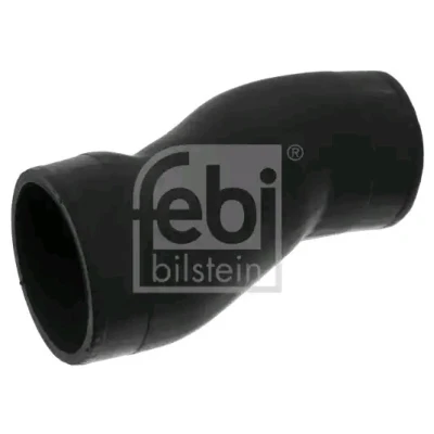 Afbeelding van Febi Bilstein Laadlucht /turboslang 49249