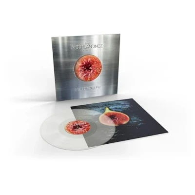 Afbeelding van The Moonlandingz No Rocket Required (LP)