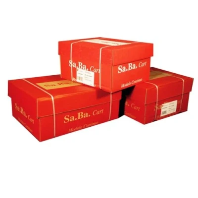 Afbeelding van SA.BA.CART S01240127000 tractor feed paper 240 x 305 mm 70 g/m² Wit