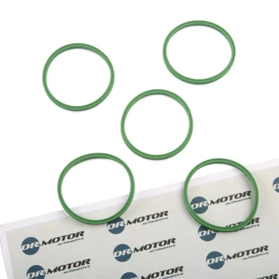 Afbeelding van Dichtring, laadluchtslang Dr.Motor Automotive DRM01135